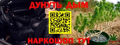 хмурый Нарткала